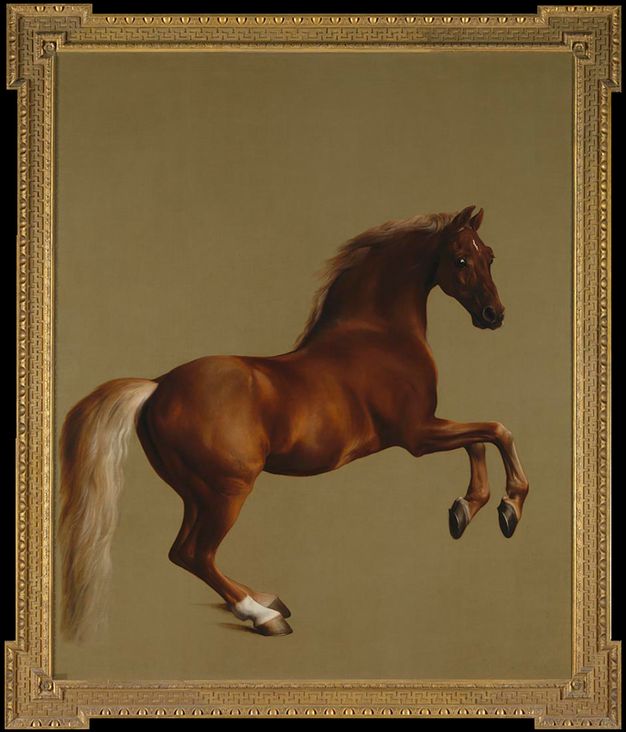 Painting. Facing our right in profile, a chestnut-brown horse, named Whistlejacket, rears against a blank, olive-green background.